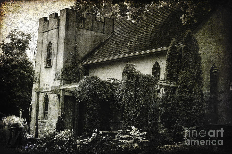 Distressed Photograph by Judy Wolinsky