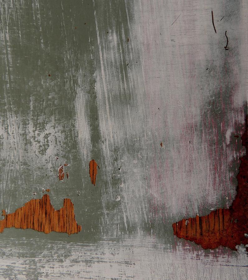 Distressed Landscape Abstract 1. Photograph by Denise Clark
