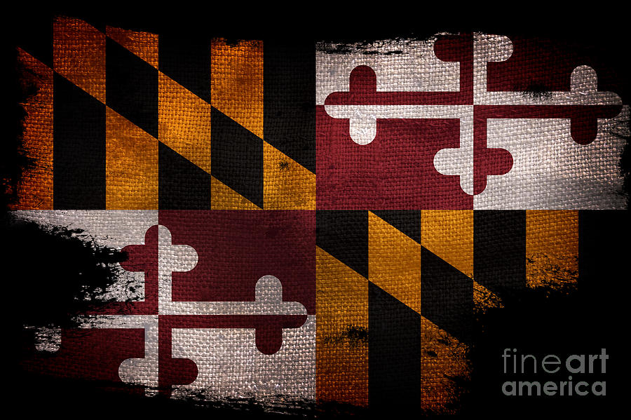 Baltimore Photograph - Distressed Maryland Flag on Black by Jon Neidert