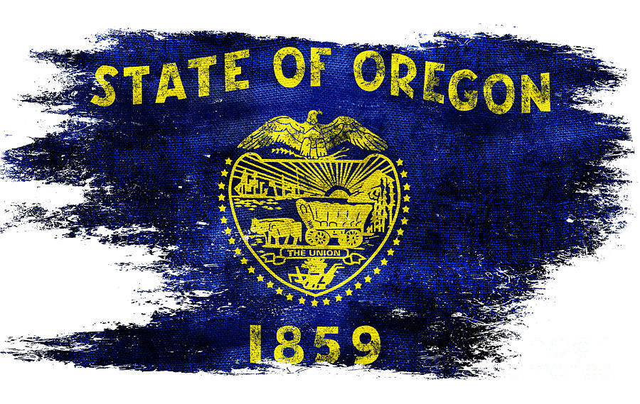 Oregon State Photograph - Distressed Oregon Flag by Jon Neidert