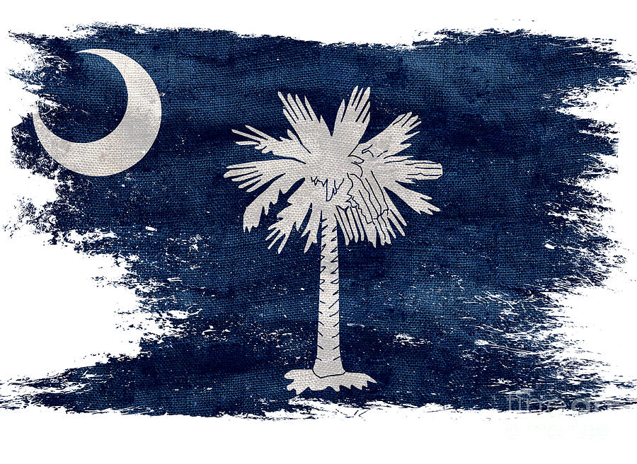 Distressed South Carolina  Flag Photograph by Jon Neidert