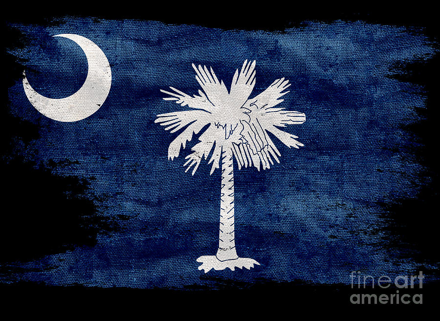 Distressed South Carolina  Flag on Black Photograph by Jon Neidert