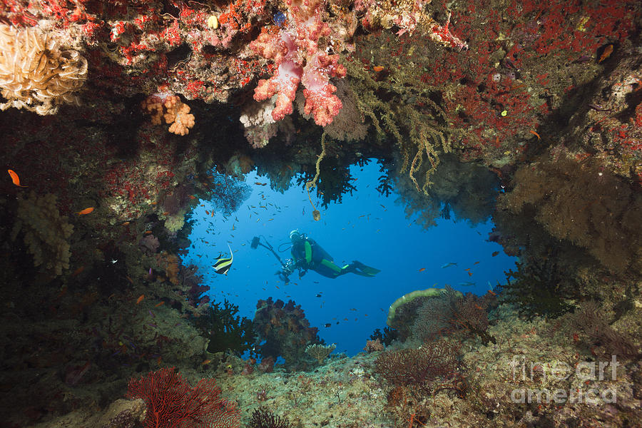 Diver And Coral Cave Photograph by Reinhard Dirscherl