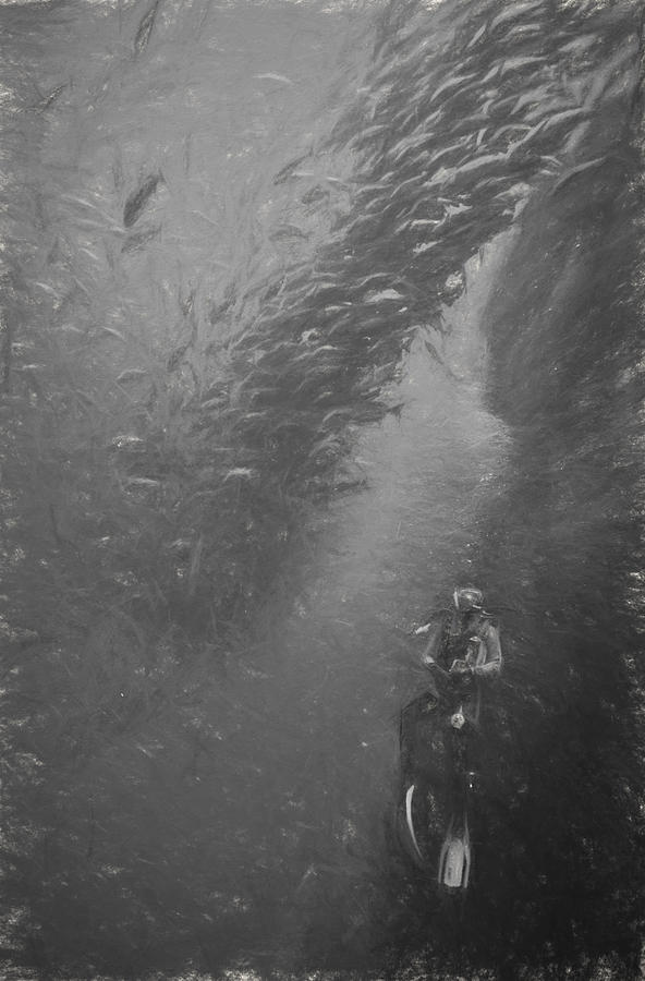 Diver and Fish Digital Art by Roy Pedersen
