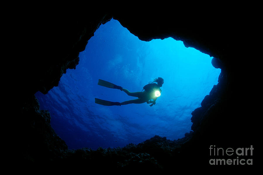 Diver At Cavern Entrance Photograph by Dave Fleetham - Printscapes