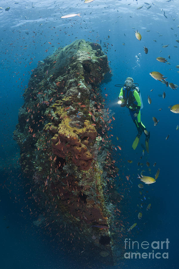 Diver At Wreck Photograph by Reinhard Dirscherl