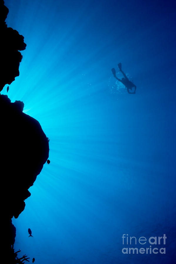 Diver, Wall and Sunrays Photograph by Dave Fleetham - Printscapes