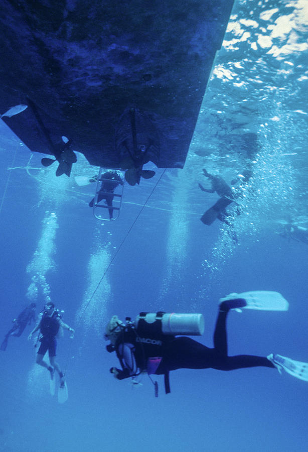 Divers returning to boat Photograph by Robert Wrenn - Fine Art America