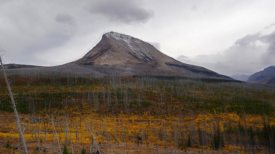 Divide Mountain on a Stormy Autumn Day Photograph by Tracey Vivar