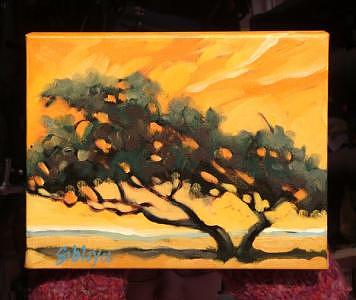 Trees Painting - Dividivi Tree by Don Sibley Trees Painting - Dividivi Tree by Don Sibley