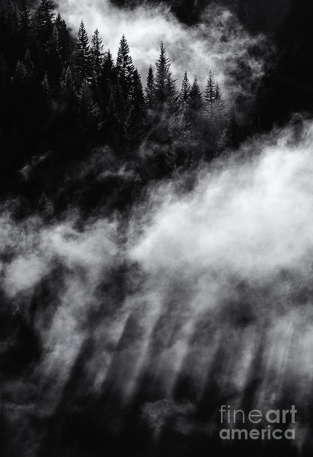 Mountain Photograph - Divine Light by Michael Dawson