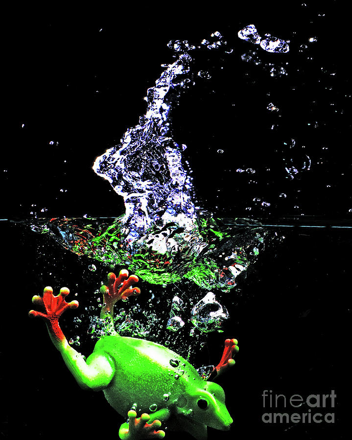 Diving For Cover Photograph by Terril Heilman