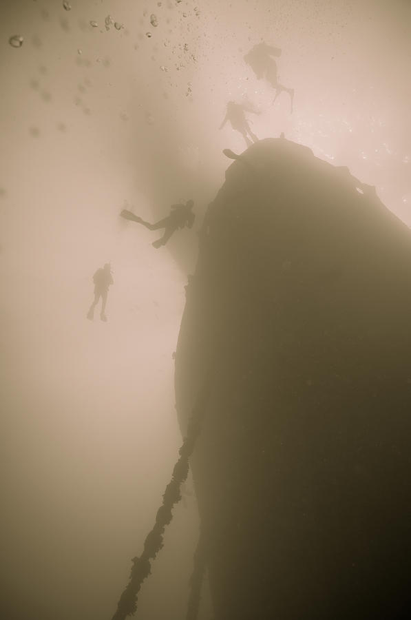 Diving The Wreck Photograph by Roy Pedersen