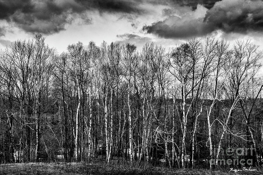 Division by Roger Carlsen Division by Roger Carlsen