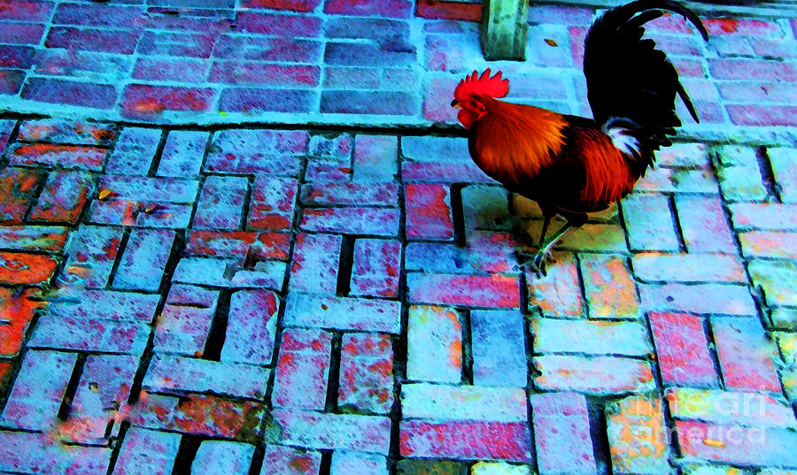 Dixie Chicken Photograph by Debbi Granruth