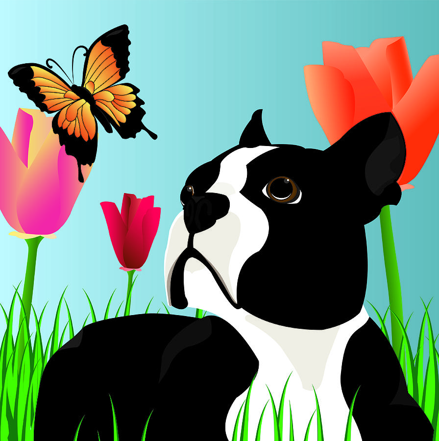 Dog Digital Art - Dixie by Kori Jones Dog Digital Art - Dixie by Kori Jones