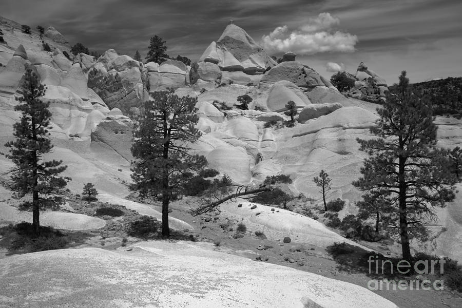Dixie Tent Rocks Black And White Photograph by Adam Jewell