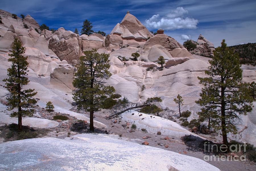 Dixie White Tent Rocks Photograph by Adam Jewell