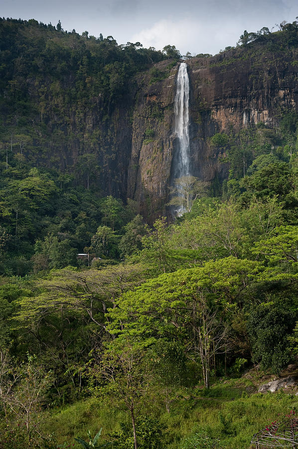 Jungle Photograph - Diyaluma Waterfall by Rafa Rivas