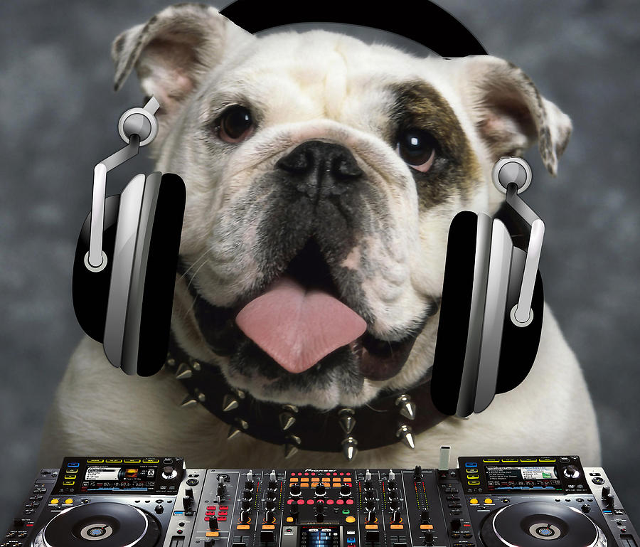 DJ Bully Mixed Media by Marvin Blaine