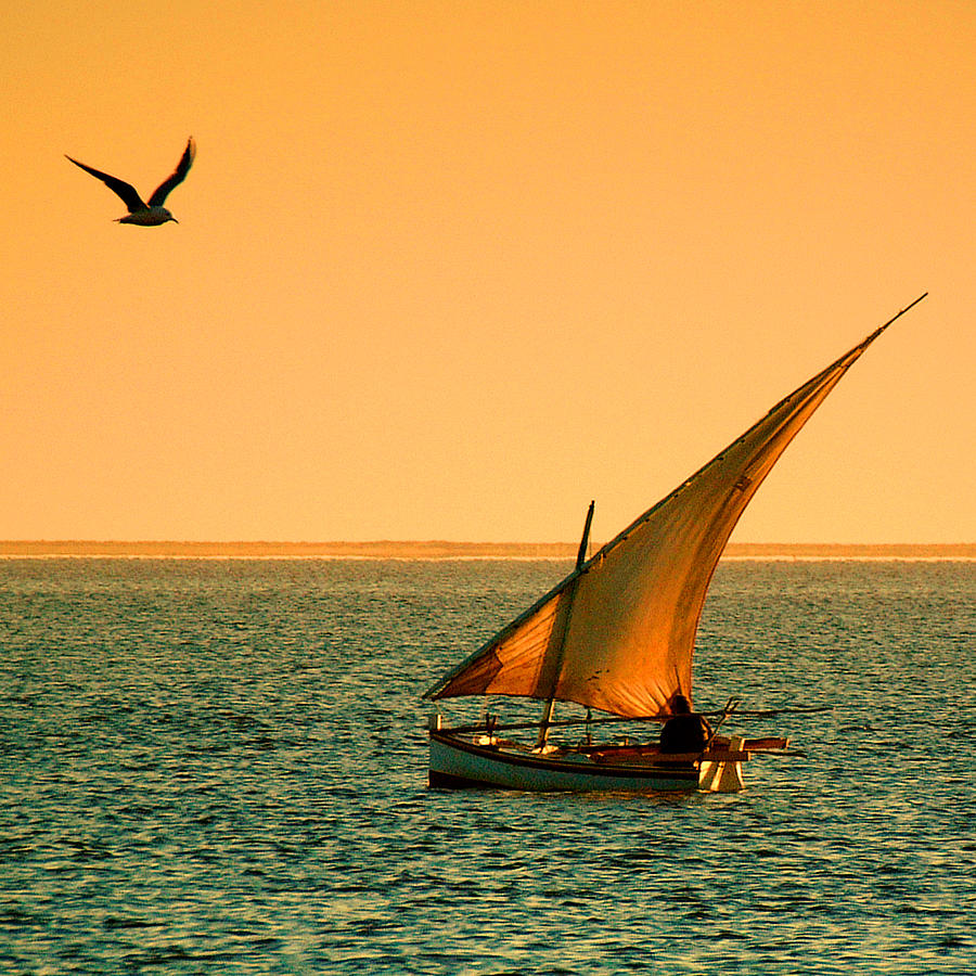 Djerba Dawn Photograph by John McKinlay