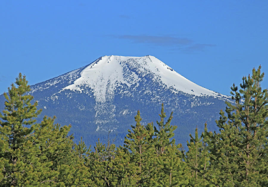 DM5535 Mt. Scott Photograph by Ed Cooper Photography