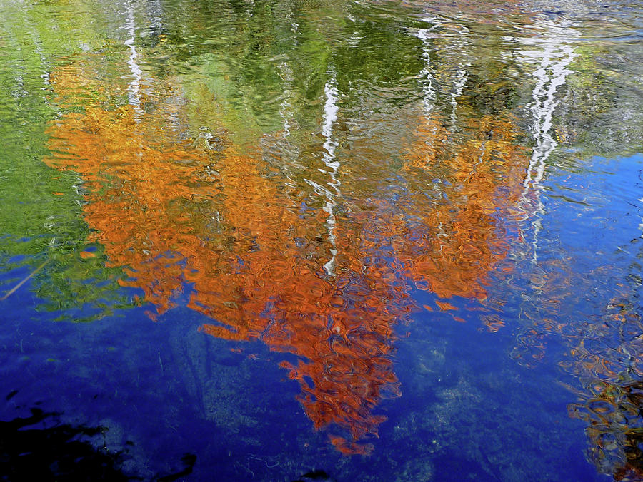 DM6475 DC Autumn Reflection Photograph by Ed Cooper Photography