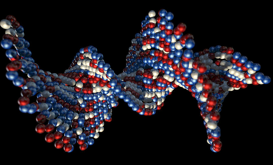 Ball Digital Art - DNA Atom Stem by Allan Swart