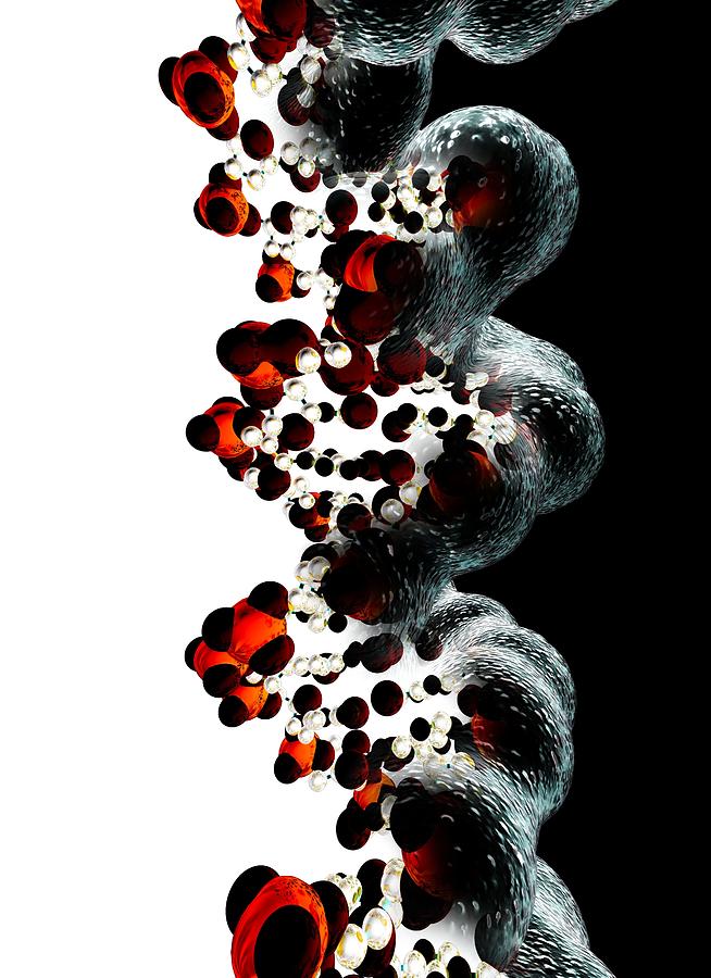 Dna Photograph - Dna Molecule, Computer Artwork by Animate4.comscience Photo Libary