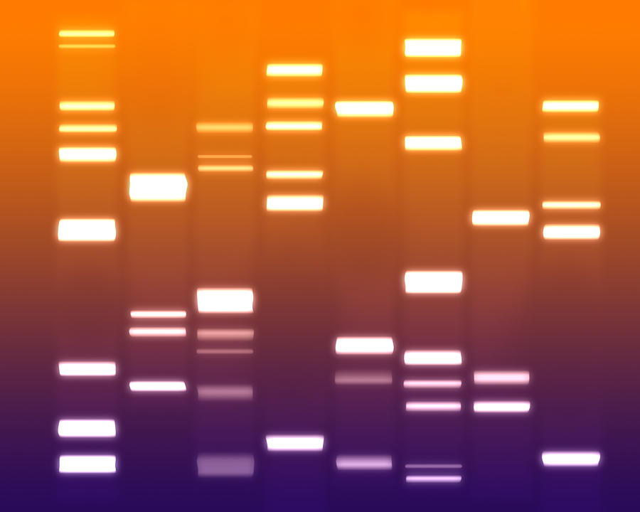 Dna Digital Art - DNA purple orange by Michael Tompsett