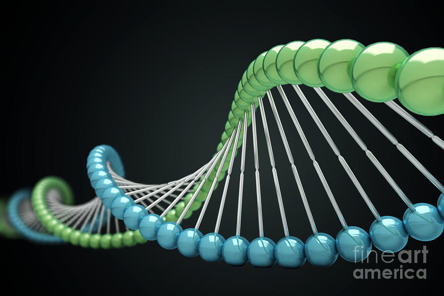 Dna Structure Photograph by Science Picture Co - Fine Art America