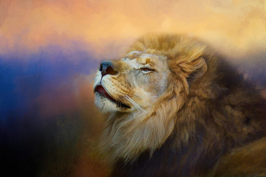Do Lions Go To Heaven? Photograph by Jai Johnson Do Lions Go To Heaven? Photograph by Jai Johnson