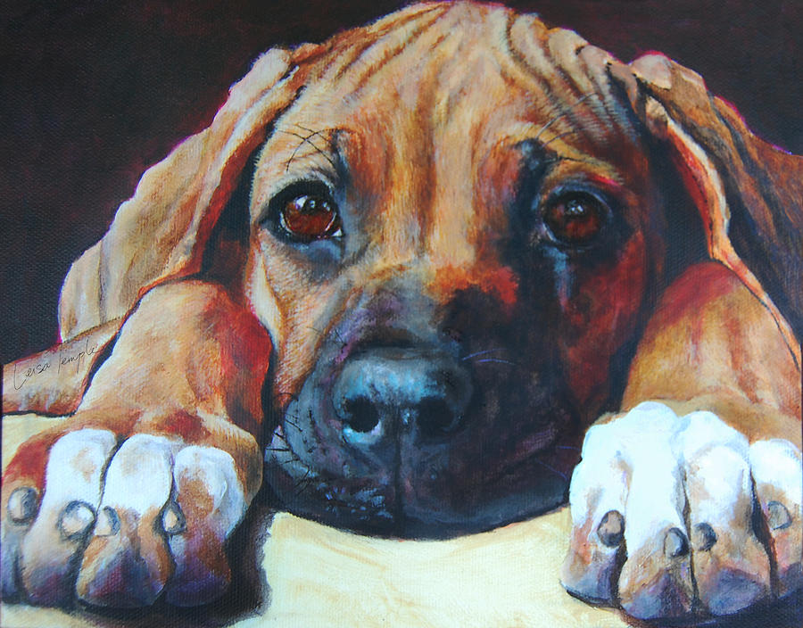 Animal Painting - Do My Feet Smell? by Leisa Temple