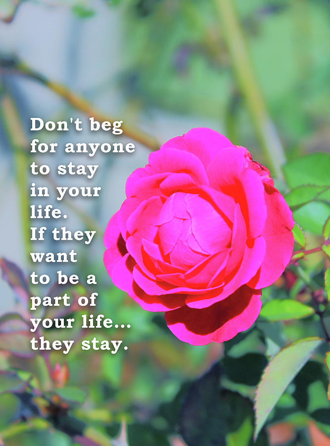 Do not beg for anyone to stay in your life Motivational quote ...