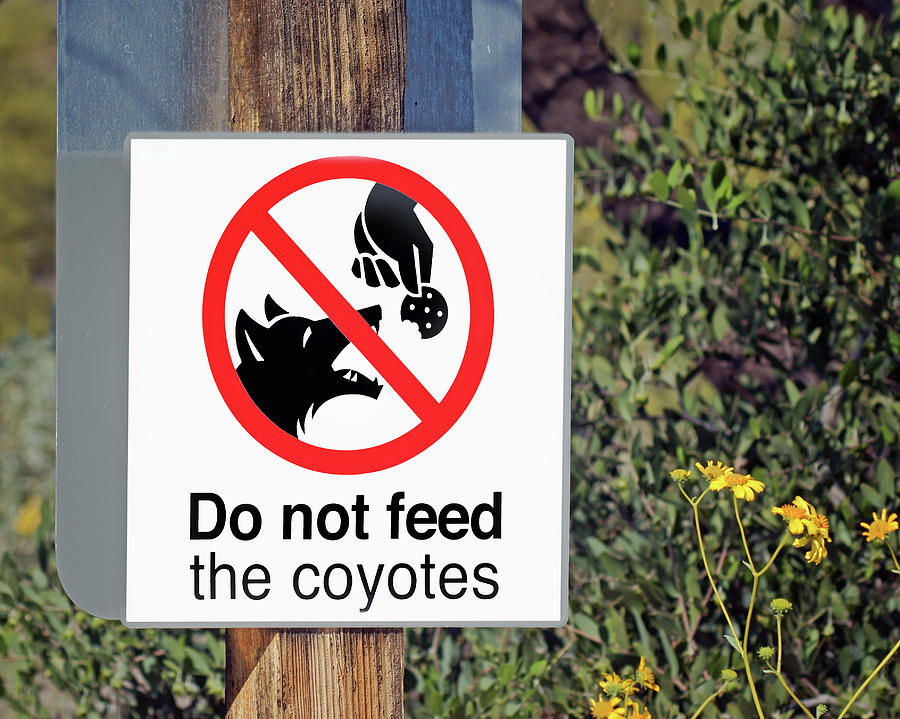 Sign Photograph - Do Not Feed - Coyotes - Sign by Nikolyn McDonald