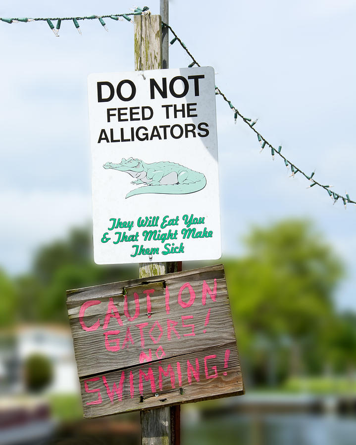 Do Not Feed the Alligators Photograph by Mitch Spence