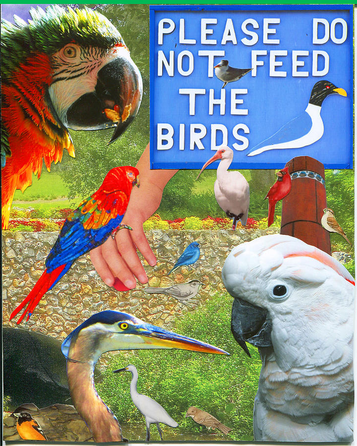 Bird Photograph - Do Not Feed The Birds by Donna Vanscoy