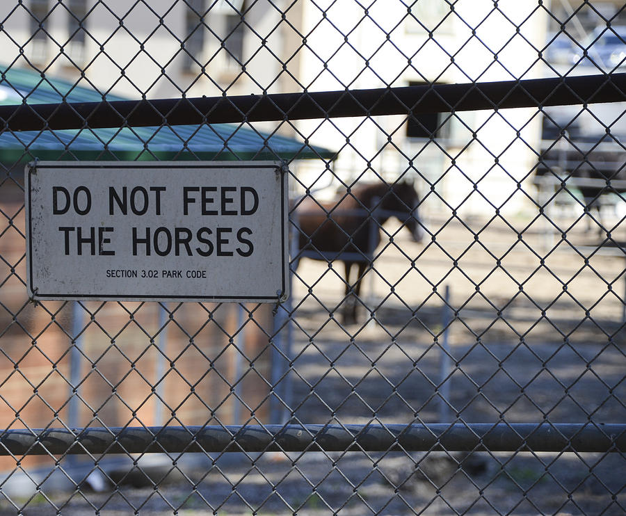 Do not feed the horses Photograph by Erik Burg