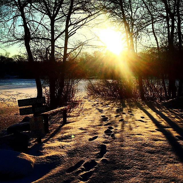 Winter Photograph - do Not Go Where The Path May Lead, Go by Carly Barone
