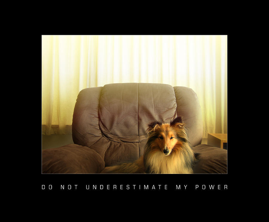 Star Wars Photograph - Do Not Underestimate My Power by Sheltie Planet