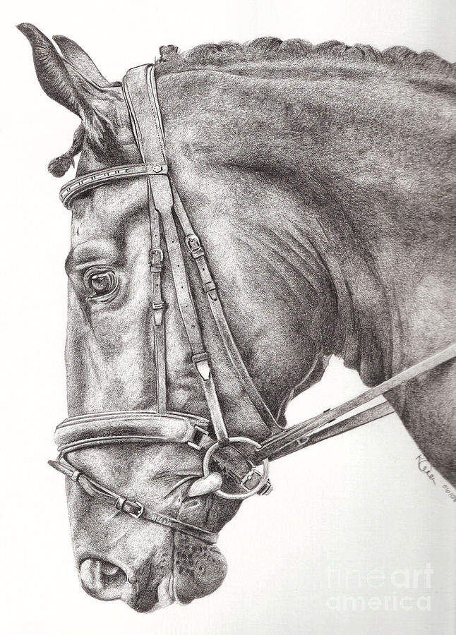 Horse Drawing - Dobbin by Karen Townsend