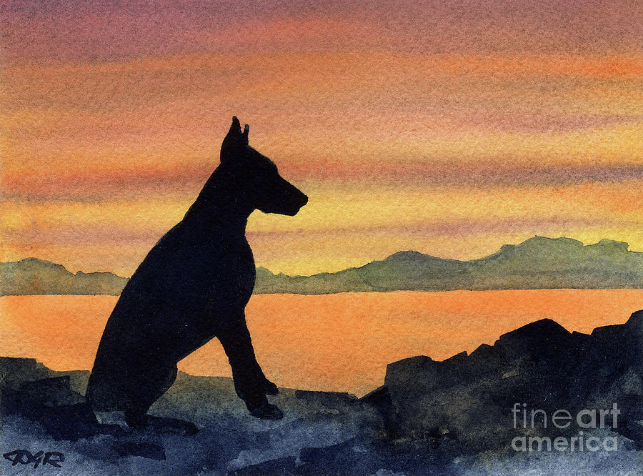 Sunset Painting - Doberman Pinscher at Sunset by David Rogers