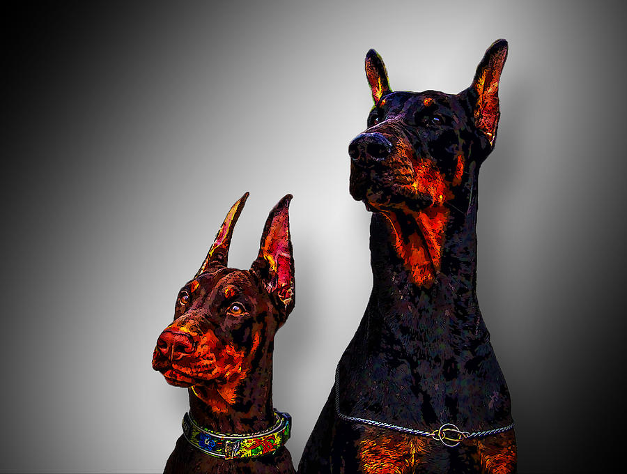 Doberman のpinscher Royalty-Free Images, Stock Photos & Pictures |  Shutterstock