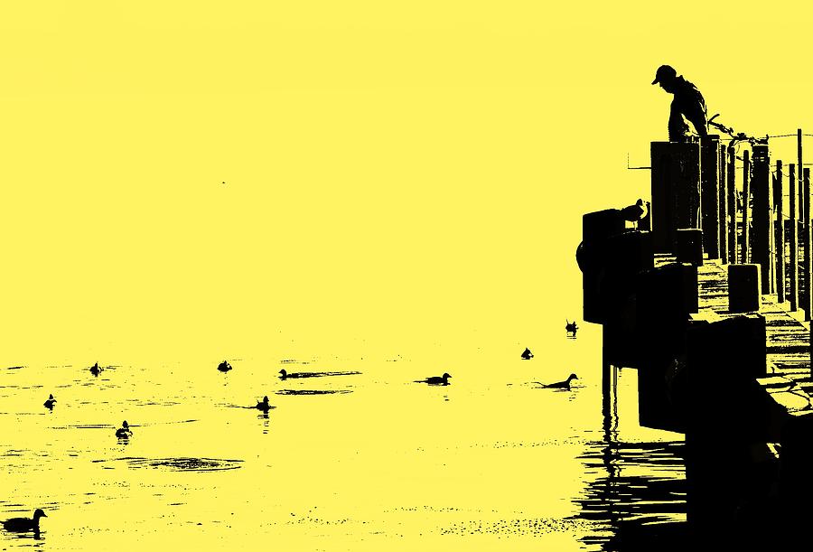 Bird Photograph - Dock And Ducks by Ian  MacDonald