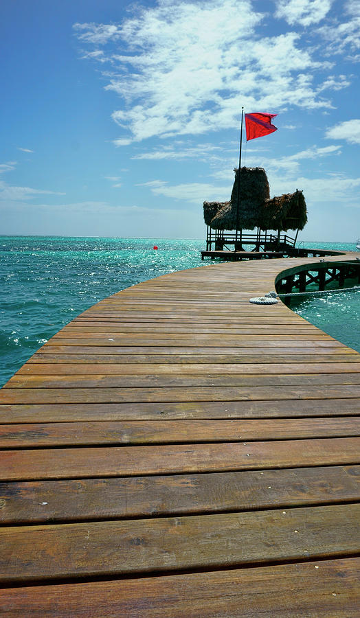 Dock at Ambergris Caye Photograph by Waterdancer
