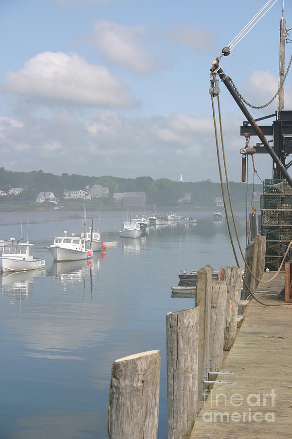 Dock at Cape Porpoise Photograph by David Bishop