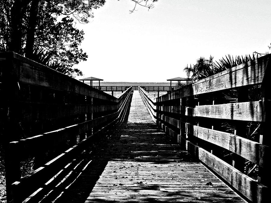Dock at Lake George in Black and White Photograph by Bob Johnson