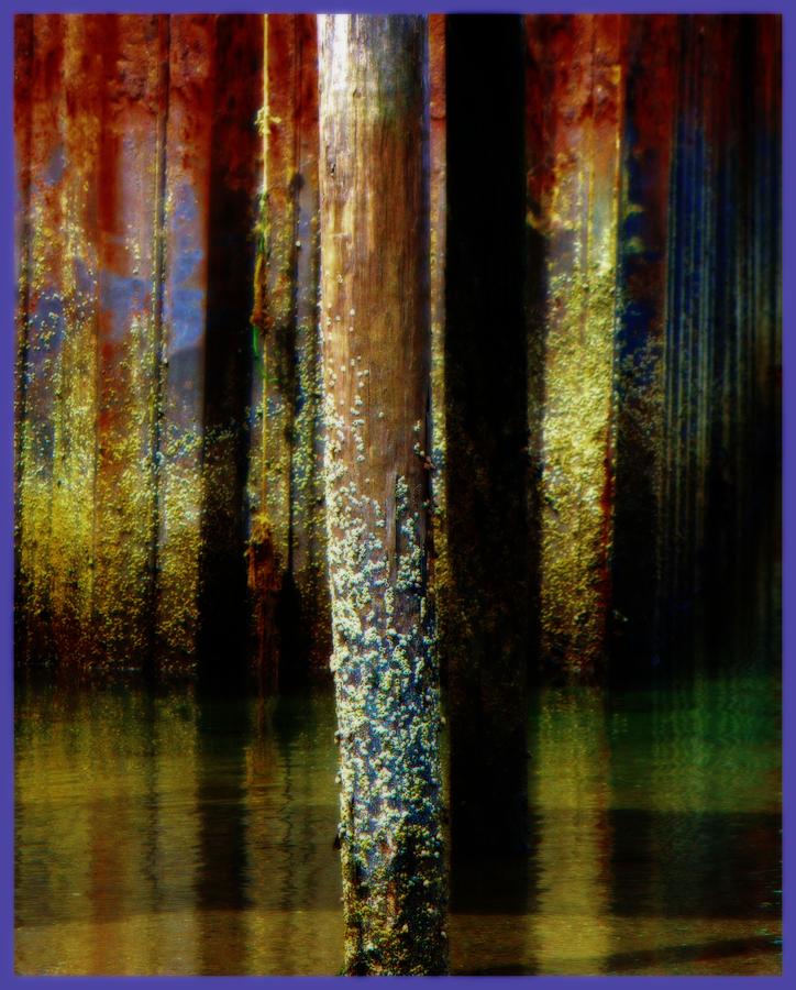Water Photograph - Dock At Low Tide by John Feiser Water Photograph - Dock At Low Tide by John Feiser