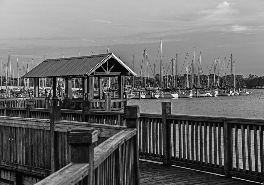 Dock At Mandarin Park Black And White Photograph