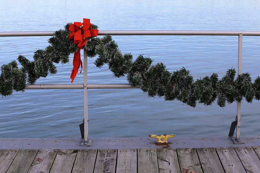 Dock Cleat and Garland Photograph by Mary Bedy